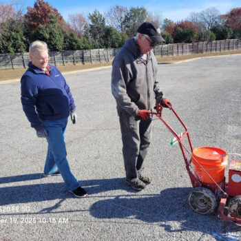 “The” Parking Lot