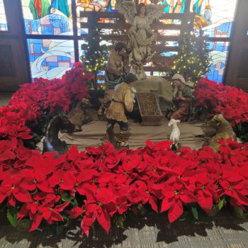 Knights Decorate for Christmas